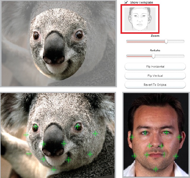 You set the photo, more or less, in accordance with the template and adjust colors - The Game Face function - Virtual clubs - FIFA 14 - Game Guide and Walkthrough