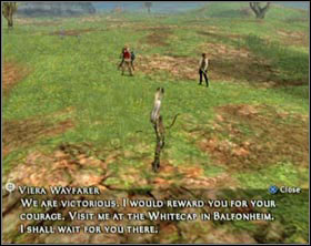 During this quest the petitioner will join you, but unfortunately shes not much of use for you - Vyraal (rank V) | Ordinary hunt notices - Ordinary hunt notices - Final Fantasy XII Game Guide