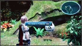 You will find next chest ear the waterfall - Walkthrough - Chapter XI - Part 1 - Walkthrough - Final Fantasy XIII - Game Guide and Walkthrough