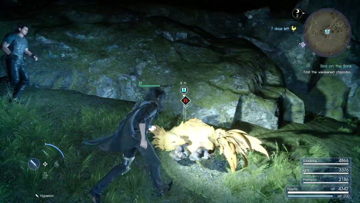 And heres the injured bird. - How to unlock Stacked Ham Sandwich (+50% EXP)? - FAQ - Frequently Asked Questions - Final Fantasy XV Game Guide