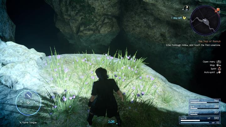 Theres an ascension coin hidden in the grass. - Chapter 5 - Dark Clouds | Main storyline - Main storyline - Final Fantasy XV Game Guide