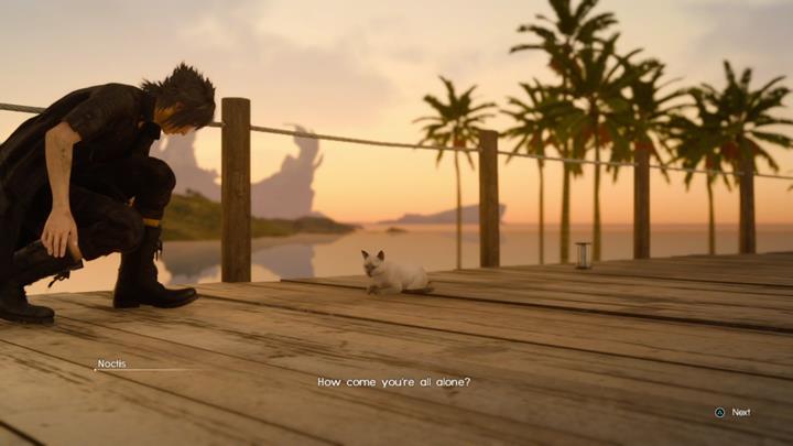 During the game you will run into a stray cat twice - Remaining quests | Side quests - Side quests - Final Fantasy XV Game Guide