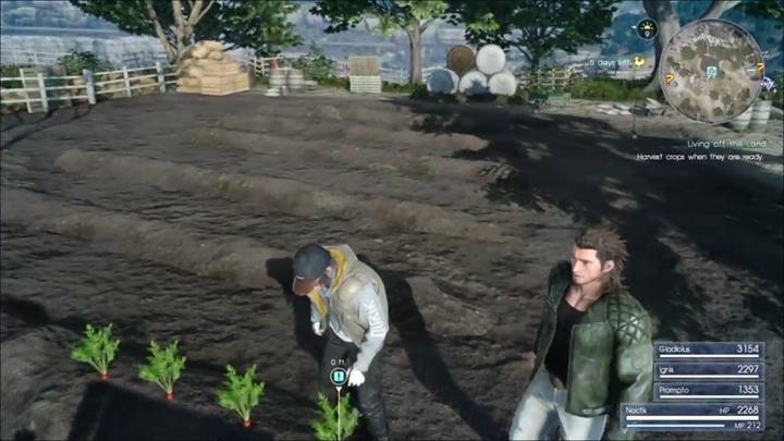 After reaching Cape Caem in chapter 8 you have to speak with Iris - Remaining quests | Side quests - Side quests - Final Fantasy XV Game Guide