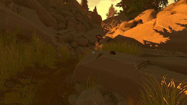 Note: If you have earlier gone to THOROFARE TRAIL, in the Eastern part of the map, you find a blocked passage there - Day 2 - Walkthrough - Firewatch - Game Guide and Walkthrough