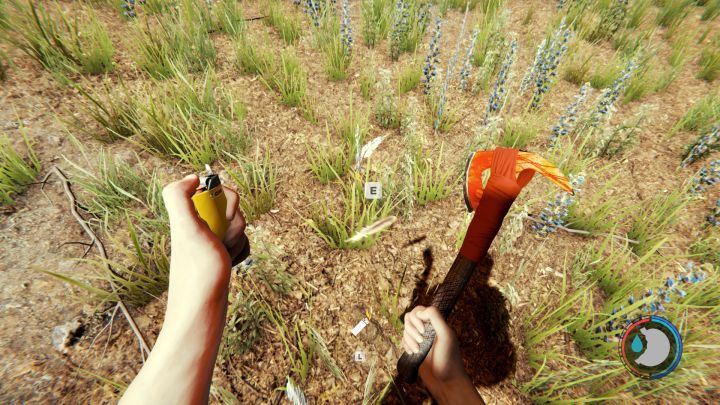 Feathers can be acquired by killing birds. - The Forest: Crafting resources - Resources and equipment in The Forest - The Forest Game Guide