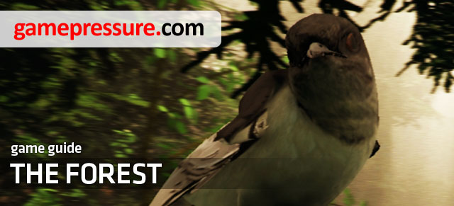 This guide to The Forest contains a very detailed walkthrough to the single player mode - The Forest Game Guide