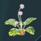 Inkbulb - Forever Skies: All plants - Resources - Forever Skies Guide