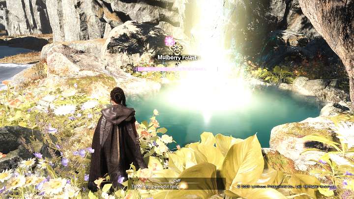 Founts of Blessing (example in the screenshot above) are special wells where Frey can learn a new skill free of charge - Forspoken: Beginners Guide - Basics - Forspoken Guide