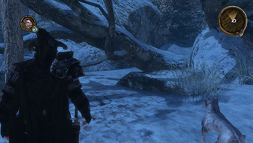 Follow the yellow scent until you get to the broken tree on the clearing out of the Icemarks walls - Between a Hunter and His Prey [MQ] - Chapter 3 - Mors Westford - Game of Thrones - Game Guide and Walkthrough