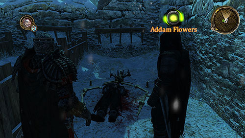 Talk with the Addam Flowers, who is on the crime scene - Rituals and Litanies [SQ] - Chapter 13 - Mors and Alester - Game of Thrones - Game Guide and Walkthrough