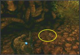 The COG is under the wall, straight from the rifle next to which the escape begins - Denizens - Intestinal Fortitude - Denizens - Gears of War 2 - Game Guide and Walkthrough