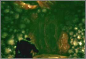 Quickly cross the intestines to avoid suffocating - Denizens - Intestinal Fortitude - Denizens - Gears of War 2 - Game Guide and Walkthrough