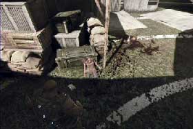 #11 Cole's championship ring - Collectibles - Act I - Other - Gears of War 3 - Game Guide and Walkthrough