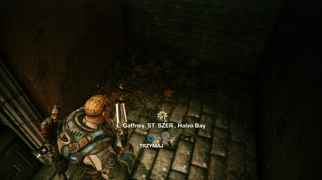 In the Museum Gardens stage - Museum Of Military Glory - COG tags - Gears of War: Judgment - Game Guide and Walkthrough