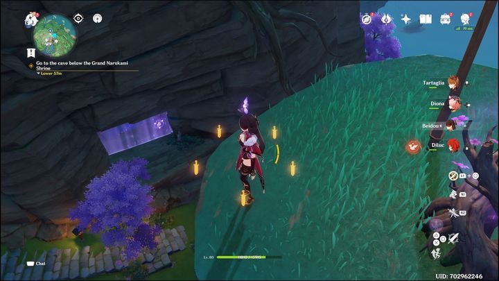 With it, you'll be able to cross the barrier and enter the Raiden Shogun arena - Genshin impact: How to beat Raiden Shogun boss? - Bosses - Genshin Impact Guide