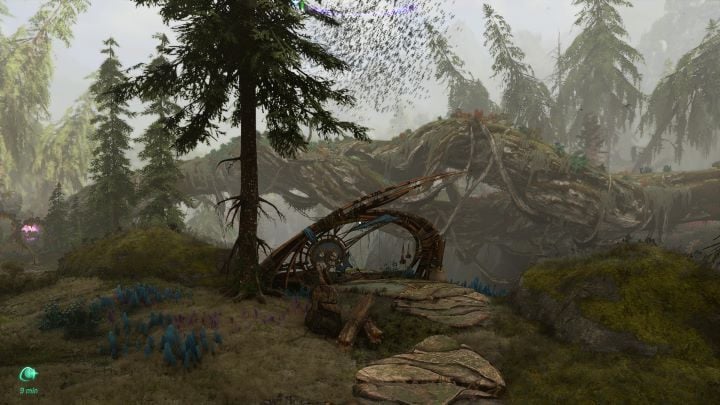 24 - Avatar Frontiers of Pandora: All Memory Paintings - Avatar Frontiers of Pandora: Secrets and Collectibles - Avatar Frontiers of Pandora Guide