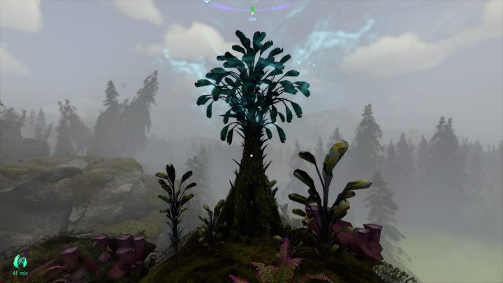 67 - Avatar Frontiers of Pandora: All Bellsprigs - Clouded Forest - Avatar Frontiers of Pandora: Secrets and Collectibles - Avatar Frontiers of Pandora Guide