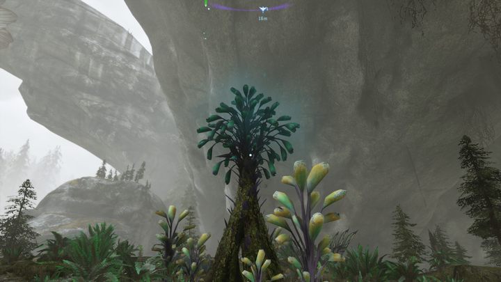 53 - Avatar Frontiers of Pandora: All Bellsprigs - Clouded Forest - Avatar Frontiers of Pandora: Secrets and Collectibles - Avatar Frontiers of Pandora Guide