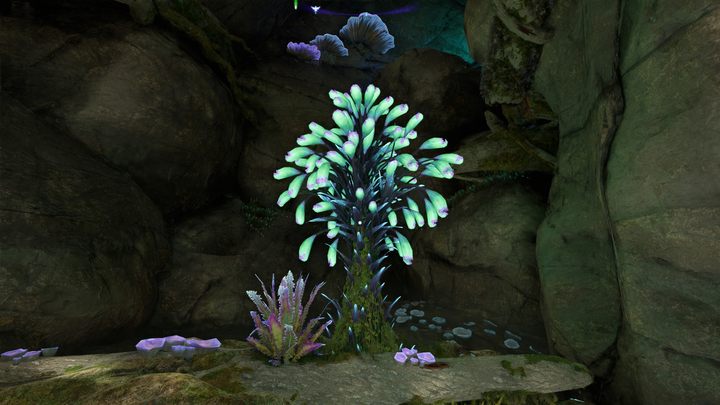 41 - Avatar Frontiers of Pandora: All Bellsprigs - Clouded Forest - Avatar Frontiers of Pandora: Secrets and Collectibles - Avatar Frontiers of Pandora Guide