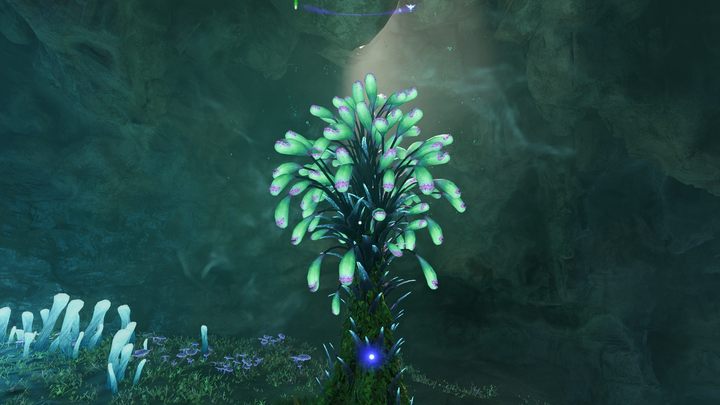 13 - Avatar Frontiers of Pandora: All Bellsprigs - Clouded Forest - Avatar Frontiers of Pandora: Secrets and Collectibles - Avatar Frontiers of Pandora Guide