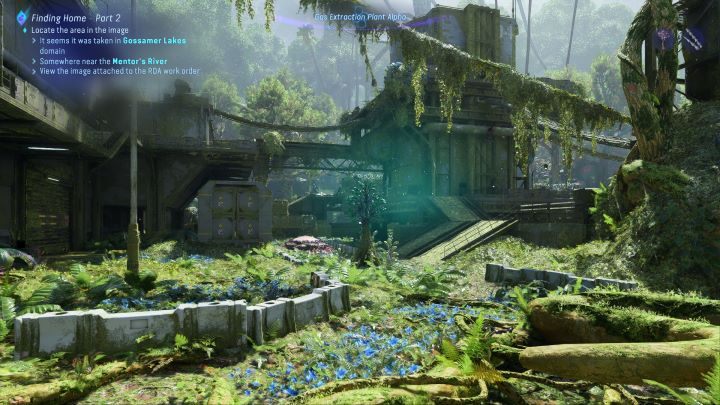 68 - Avatar Frontiers of Pandora: All Bellsprigs - Kinglor Forest - Avatar Frontiers of Pandora: Secrets and Collectibles - Avatar Frontiers of Pandora Guide