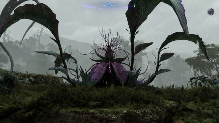 1 - Avatar Frontiers of Pandora: All Ancestor Skills - Secrets and Collectibles - Avatar Frontiers of Pandora Guide