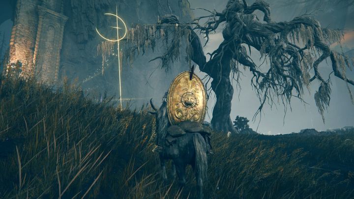 We show where you can find crosses that mark places with valuable treasures - Shadow of the Erdtree: Interactive map - Elden Ring: Interactive Maps - Elden Ring Guide