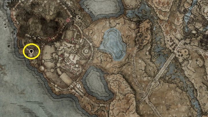 If you have completed Thiollier's quest, he should join you as an ally during the final fight of the expansion - Shadow of the Erdtree: New Armors - Shadow of the Erdtree: Basics - Elden Ring Guide