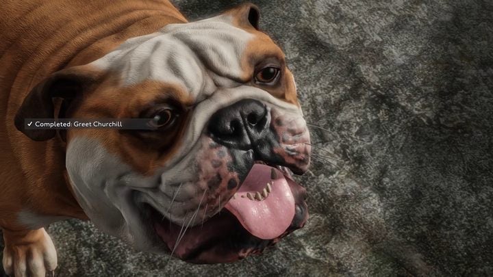 On your way, you will pass an interesting location: the Prilladog Food Factory - Fallout London: How to get to Thameshaven? - Fallout: London: Walkthrough - Fallout London Guide