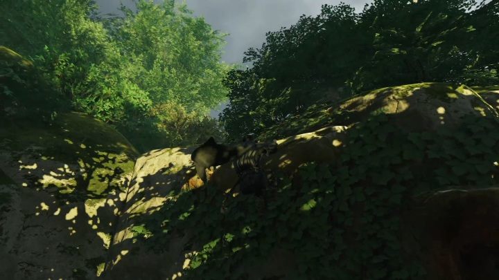 2 - Ghost of Tsushima: Shinto Shrines, Toyotama Region secrets map, video guide - Toyotama Region - Ghost of Tsushima Guide, Walkthrough