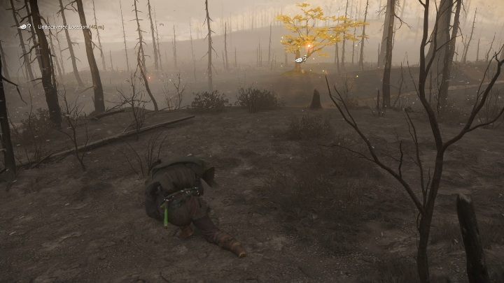 Youll find this fox den in the burnt part of the Endless Forest - Ghost of Tsushima: Inari Shrines, Kamiagata Region secrets map, video guide - Kamiagata Region - Ghost of Tsushima Guide, Walkthrough