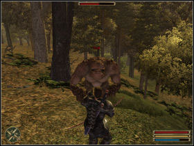 Your job is to escort Tragak to Silden - Silden - Myrtana - Gothic 3 - Game Guide and Walkthrough