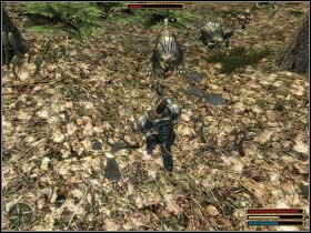 Your job is to kill two nasty shadowbeasts wandering near the ruins - Okara - Myrtana - Gothic 3 - Game Guide and Walkthrough