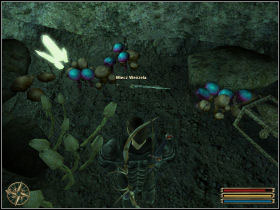 You can solve this quest when you reach Montera - Cape Dun - Myrtana - Gothic 3 - Game Guide and Walkthrough