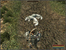 You have to kill all wolves terrorizing nearest area - Cape Dun - Myrtana - Gothic 3 - Game Guide and Walkthrough
