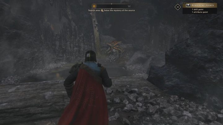 At some point, you will reach a room with a bowl of water - GreedFall: The Trials of the Water - walkthrough - A Cure for Malichor - GreedFall Guide