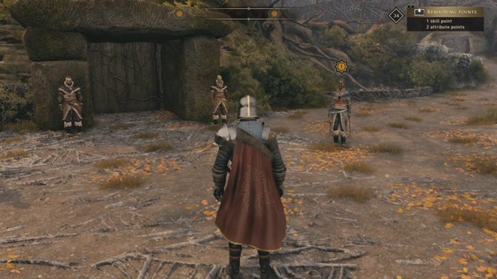 You can give the crown to one of the contenders for the throne - Derdre (despite defeating her), Ullan or Dunncas - GreedFall: The New High King - walkthrough - A Cure for Malichor - GreedFall Guide