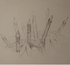 12 x stick and 1 x small leaf pile - Green Hell: Traps - blueprints, where to find? - Buildings - Green Hell Guide