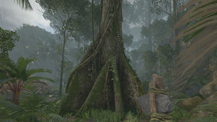 The Brazilian nut tree can be found in the areas shown on maps 2 and 3 (one of which can be found near the main settlement of the natives) - Green Hell: Brazil nuts - where to find? - FAQ - Green Hell Guide