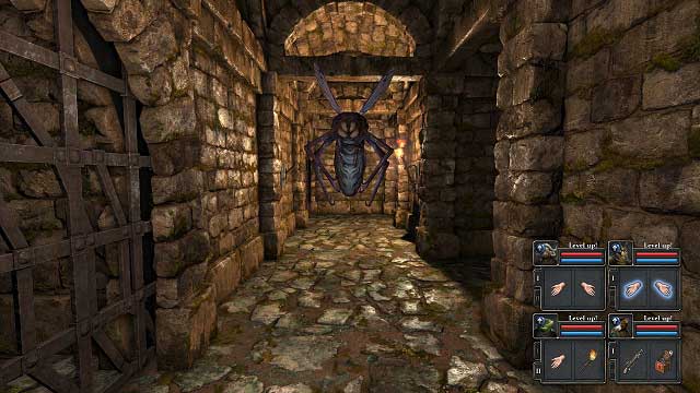 Hate them bugs. - Enemies - Legend of Grimrock II - Game Guide and Walkthrough