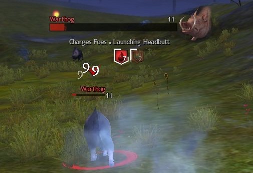 Enemy wont run away - hell bleed to death. - Damage - Basics - Guild Wars 2 - Game Guide and Walkthrough