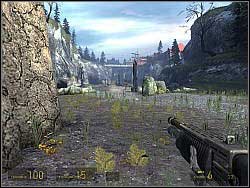 Dont worry about Alyx and Vort - Freeman Pontifex p. I - Walkthrough - Half-Life 2: Episode Two Game Guide & Walkthrough