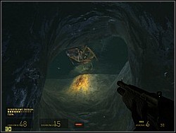 There youll have to deal with antlions and barnacles, which hang at the ceiling and try to get you with their tongue - To the White Forest p. II - Walkthrough - Half-Life 2: Episode Two Game Guide & Walkthrough