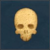 All player units have 50% more hitpoints, final score will decrease - Skulls - Additional - Halo Wars - Game Guide and Walkthrough