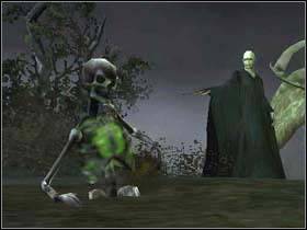 2 - Harry Potter and the Goblet of Fire: Voldemort - Harry Potter and the Goblet of Fire: Walkthrough - Harry Potter and the Goblet of Fire Game Guide & Walkthrough