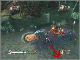 Now you have to get rid of salamanders and put out salamander sources - Harry Potter and the Goblet of Fire: Forbidden forest part 2 - Harry Potter and the Goblet of Fire: Walkthrough - Harry Potter and the Goblet of Fire Game Guide & Walkthrough