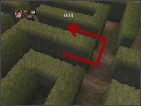 4 - Harry Potter and the Goblet of Fire: Triwizard task 3 - The maze - Harry Potter and the Goblet of Fire: Walkthrough - Harry Potter and the Goblet of Fire Game Guide & Walkthrough