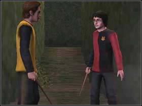 11 - Harry Potter and the Goblet of Fire: Triwizard task 3 - The maze - Harry Potter and the Goblet of Fire: Walkthrough - Harry Potter and the Goblet of Fire Game Guide & Walkthrough