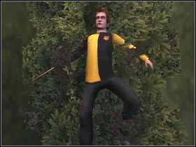 13 - Harry Potter and the Goblet of Fire: Triwizard task 3 - The maze - Harry Potter and the Goblet of Fire: Walkthrough - Harry Potter and the Goblet of Fire Game Guide & Walkthrough