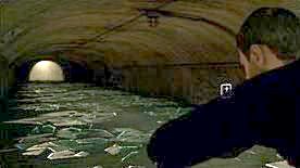 Chapter: The Butterfly - Chapters: Paparazzi - The Lizard | Heavy Rain achievements - List of achievements - Heavy Rain Guide